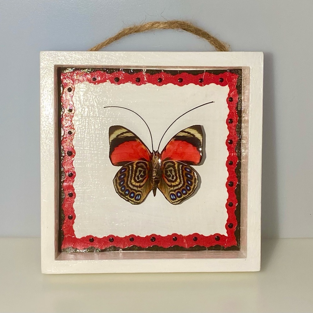 Butterfly Shadow Box